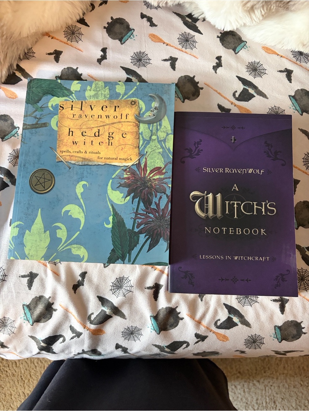 Witch's Notebook & Hedge Witch 2 Book Set by Silver Ravenwolf